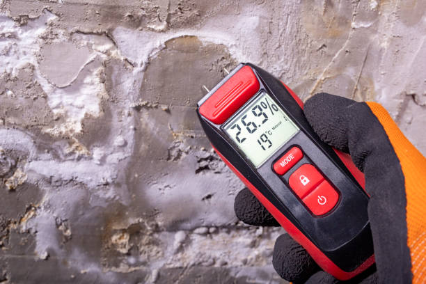 Best Certified Mold Removal  in Eureka Springs, AR