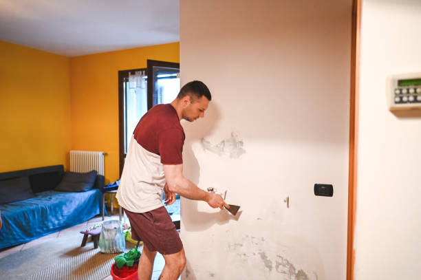 Best Mold Remediation  in Eureka Springs, AR